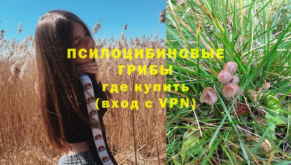 ГАЛЛЮЦИНОГЕННЫЕ ГРИБЫ Верея