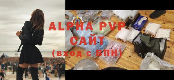 ГАЛЛЮЦИНОГЕННЫЕ ГРИБЫ Верея