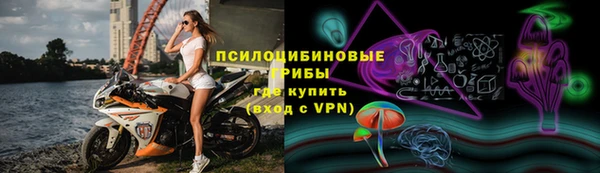 шишки Верхнеуральск
