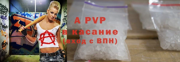 ГАЛЛЮЦИНОГЕННЫЕ ГРИБЫ Верея