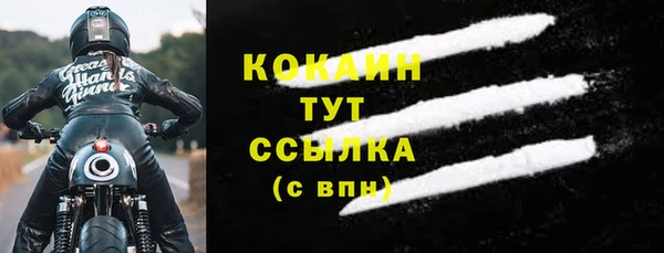 ГАЛЛЮЦИНОГЕННЫЕ ГРИБЫ Верея