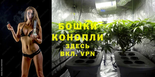 шишки Верхнеуральск
