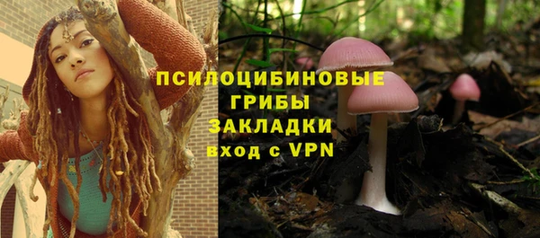 шишки Верхнеуральск