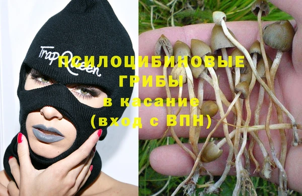 ПСИЛОЦИБИНОВЫЕ ГРИБЫ Верхний Тагил